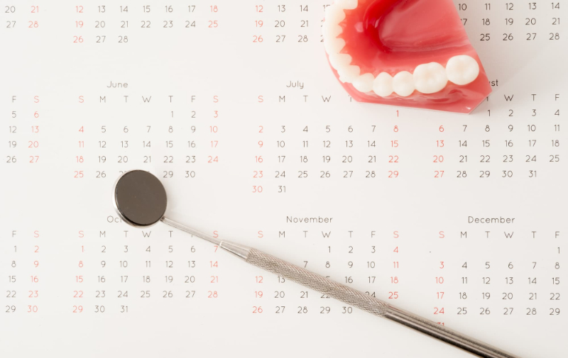 カレンダーの上に乗せた歯列模型とデンタルミラー
