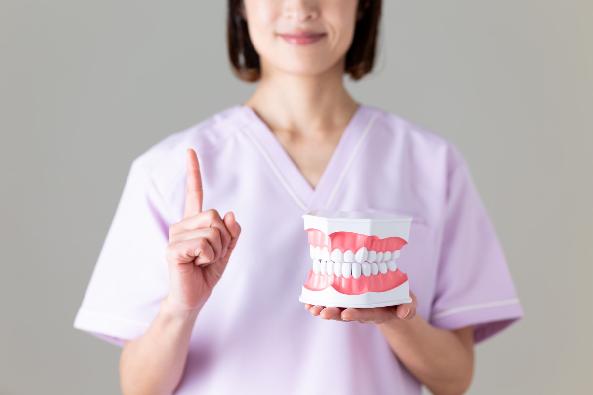 歯周病と糖尿病の関係について歯の模型で説明する歯科医